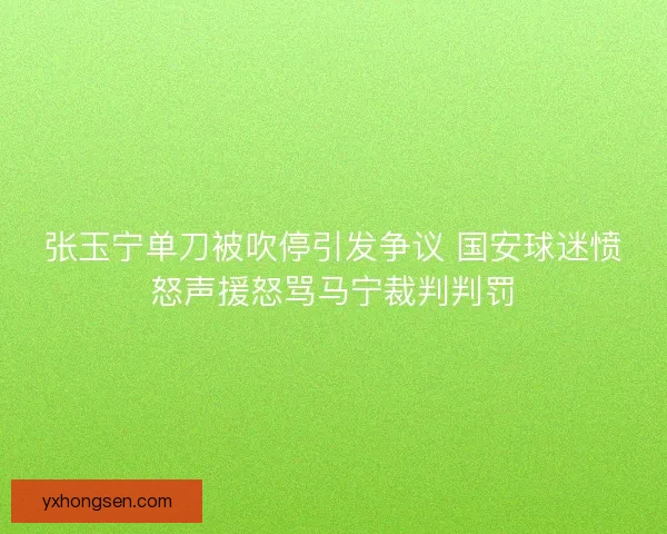 张玉宁单刀被吹停引发争议 国安球迷愤怒声援怒骂马宁裁判判罚