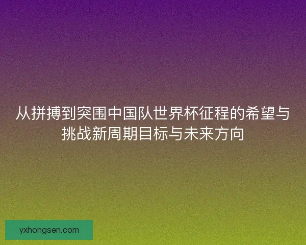 从拼搏到突围中国队世界杯征程的希望与挑战新周期目标与未来方向